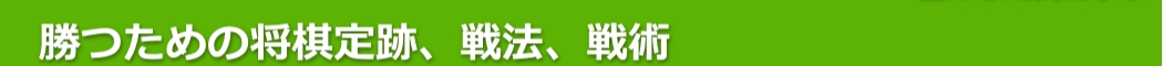 金澤敏明氏に学ぶ〔定跡・戦法・戦術〕